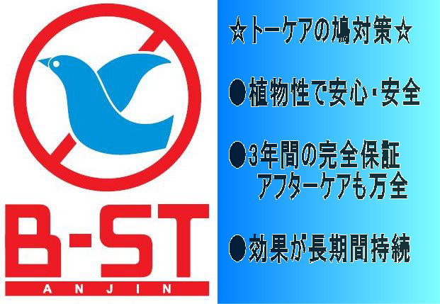 あんじん B-ST
